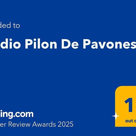 Studio Pilon De Pavones Pavones  Zewnętrze zdjęcie